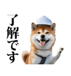 防災☆柴犬（個別スタンプ：9）