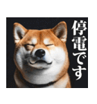 防災☆柴犬（個別スタンプ：13）