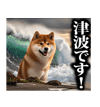 防災☆柴犬（個別スタンプ：17）