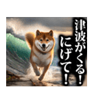 防災☆柴犬（個別スタンプ：18）