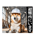 防災☆柴犬（個別スタンプ：22）