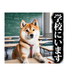 防災☆柴犬（個別スタンプ：23）