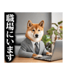 防災☆柴犬（個別スタンプ：25）