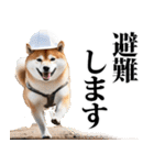 防災☆柴犬（個別スタンプ：26）