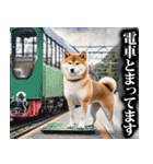 防災☆柴犬（個別スタンプ：27）