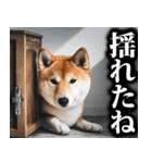 防災☆柴犬（個別スタンプ：28）