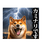 防災☆柴犬（個別スタンプ：30）