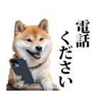 防災☆柴犬（個別スタンプ：34）
