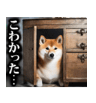 防災☆柴犬（個別スタンプ：35）