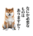 防災☆柴犬（個別スタンプ：36）