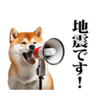 防災☆柴犬（個別スタンプ：37）