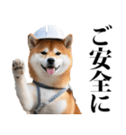 防災☆柴犬（個別スタンプ：38）