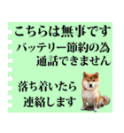 防災☆柴犬（個別スタンプ：40）