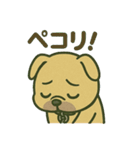 毎日使えるフレンチブルドッグ（個別スタンプ：17）