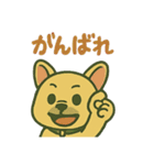 毎日使えるフレンチブルドッグ（個別スタンプ：38）