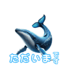 ど迫力シロナガスクジラの敬語スタンプ！（個別スタンプ：17）