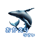 ど迫力シロナガスクジラの敬語スタンプ！（個別スタンプ：18）