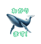 ど迫力シロナガスクジラの敬語スタンプ！（個別スタンプ：20）