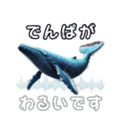 ど迫力シロナガスクジラの敬語スタンプ！（個別スタンプ：32）