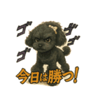 黒プーのレイちゃんは卓球好き2（個別スタンプ：1）