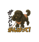 黒プーのレイちゃんは卓球好き2（個別スタンプ：2）