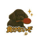 黒プーのレイちゃんは卓球好き2（個別スタンプ：3）