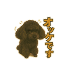 黒プーのレイちゃんは卓球好き2（個別スタンプ：4）