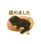 黒プーのレイちゃんは卓球好き2（個別スタンプ：5）