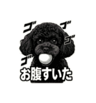 黒プーのレイちゃんは卓球好き2（個別スタンプ：8）