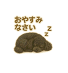 黒プーのレイちゃんは卓球好き2（個別スタンプ：15）