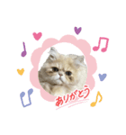 うるるんII（個別スタンプ：2）
