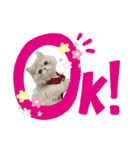 うるるんII（個別スタンプ：6）