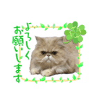 うるるんII（個別スタンプ：7）