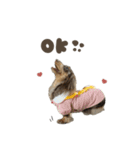 エレ.エメ.アッシュちゃん♡スタンダード（個別スタンプ：2）