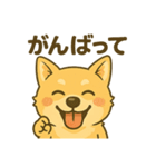 冨澤ハニですスタンプ2（個別スタンプ：2）