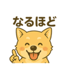 冨澤ハニですスタンプ2（個別スタンプ：8）