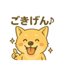 冨澤ハニですスタンプ2（個別スタンプ：12）