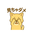 冨澤ハニですスタンプ2（個別スタンプ：19）