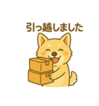 冨澤ハニですスタンプ2（個別スタンプ：24）