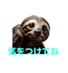 ナマケモノ J（個別スタンプ：11）