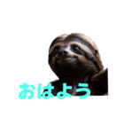 ナマケモノ J（個別スタンプ：18）