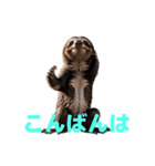 ナマケモノ J（個別スタンプ：21）