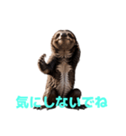 ナマケモノ J（個別スタンプ：30）