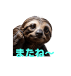 ナマケモノ J（個別スタンプ：34）