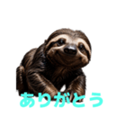 ナマケモノ J（個別スタンプ：35）