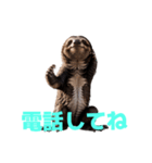 ナマケモノ J（個別スタンプ：36）