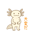 うぱまみれ（個別スタンプ：4）