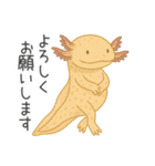 うぱまみれ（個別スタンプ：23）