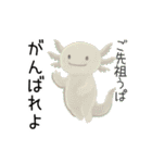 うぱまみれ（個別スタンプ：36）