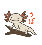 うぱまみれ（個別スタンプ：38）